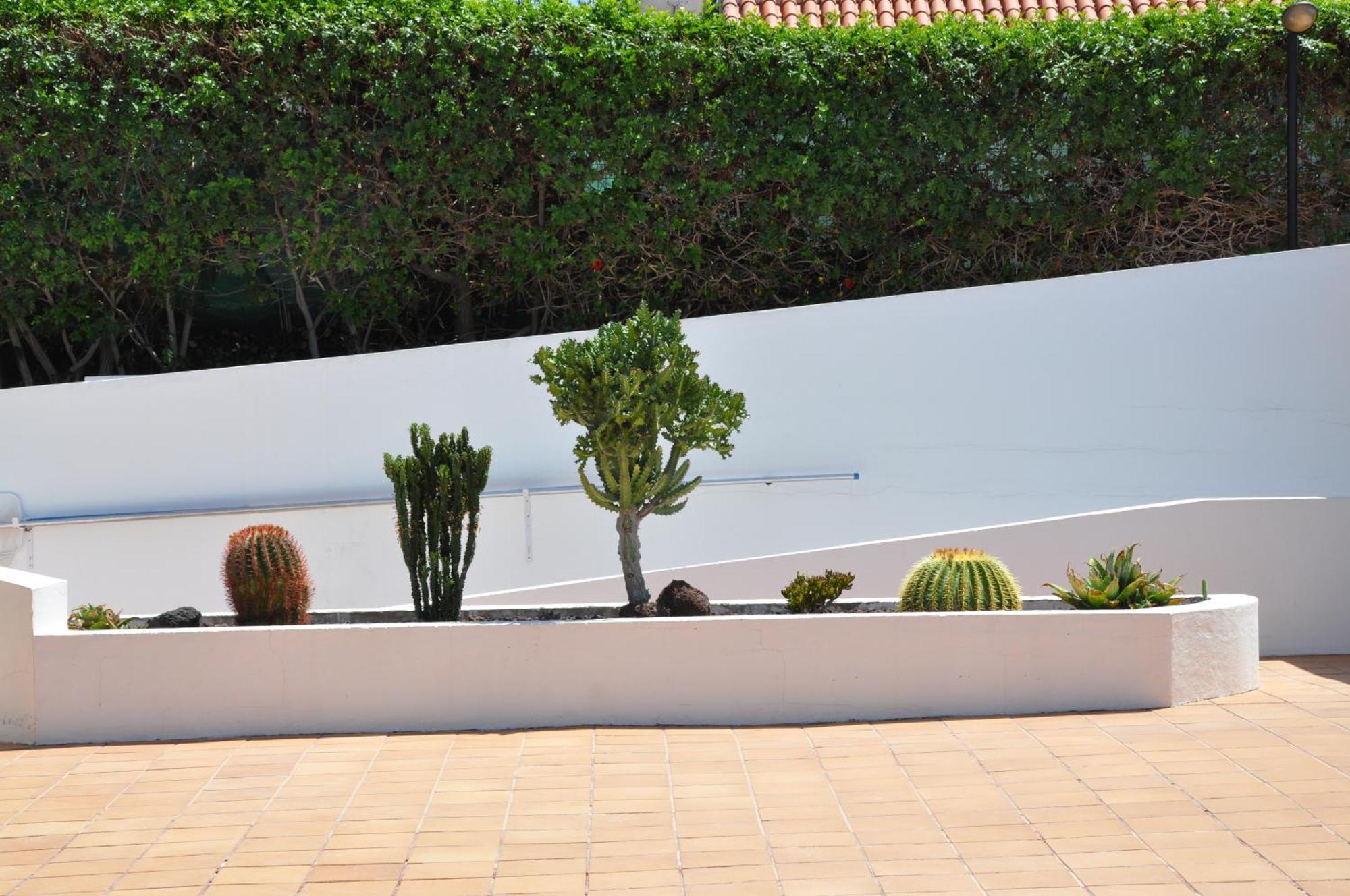 Serenity Garden Maspalomas  Eksteriør billede