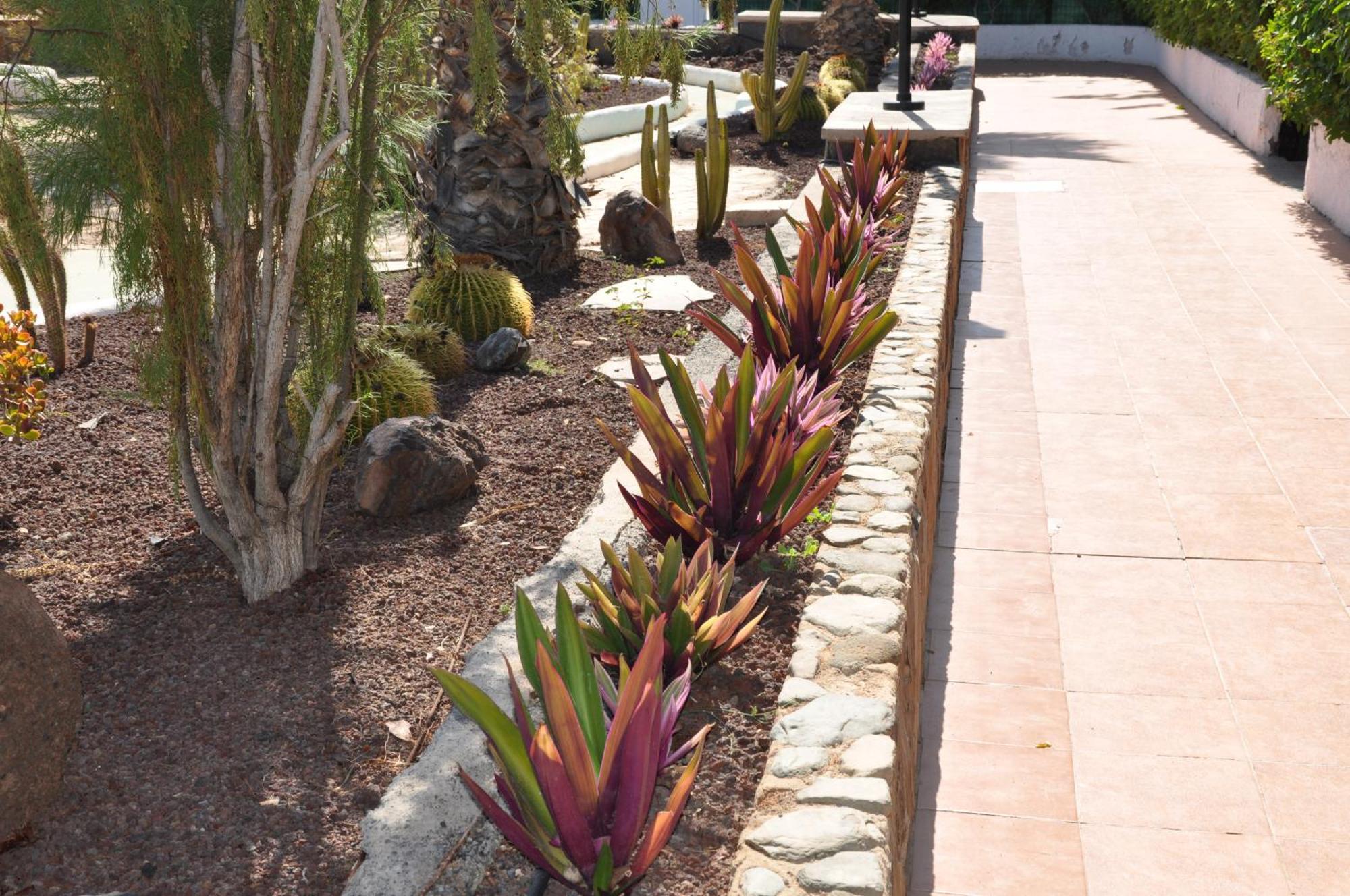Serenity Garden Maspalomas  Eksteriør billede