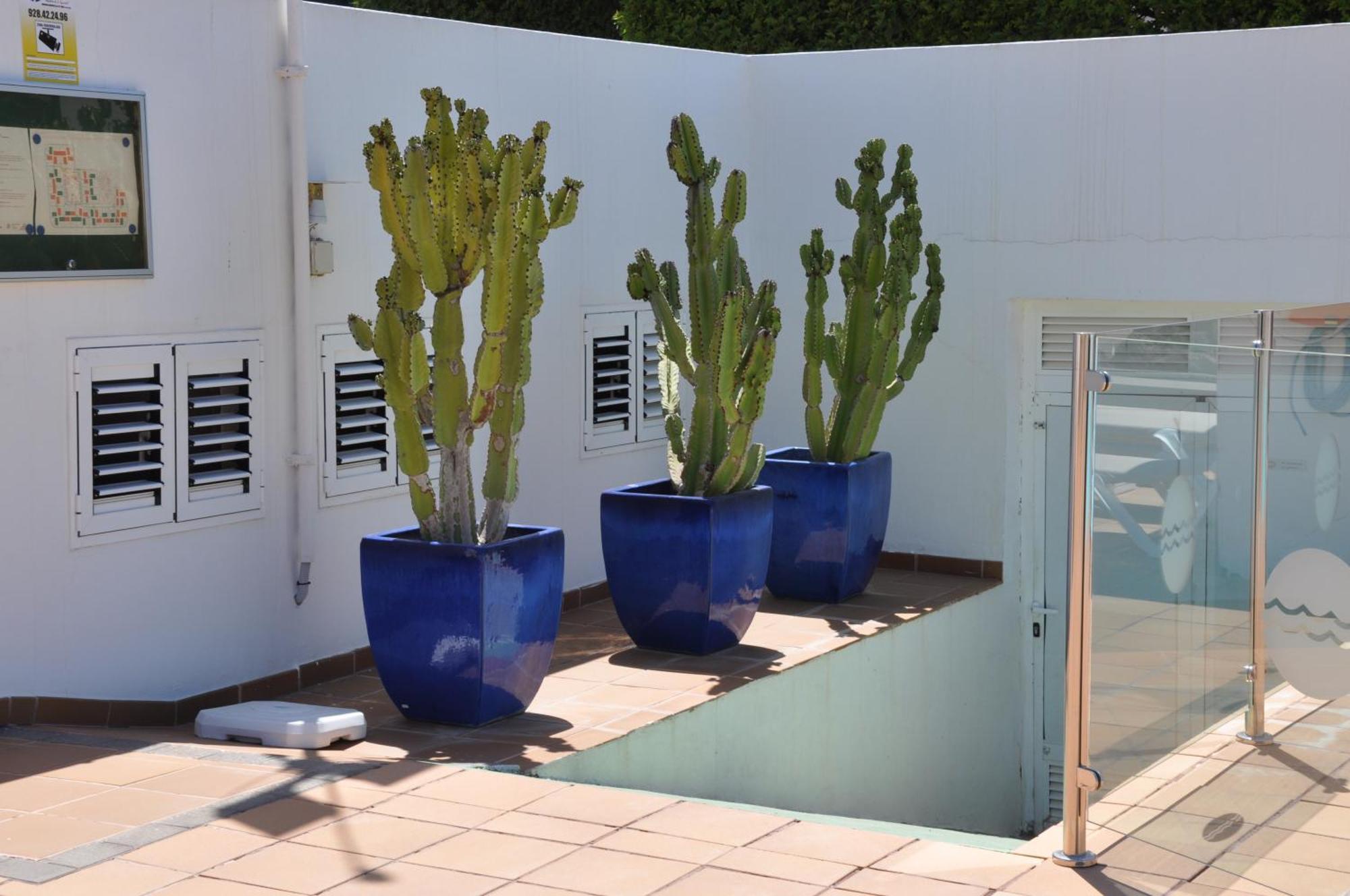 Serenity Garden Maspalomas  Eksteriør billede