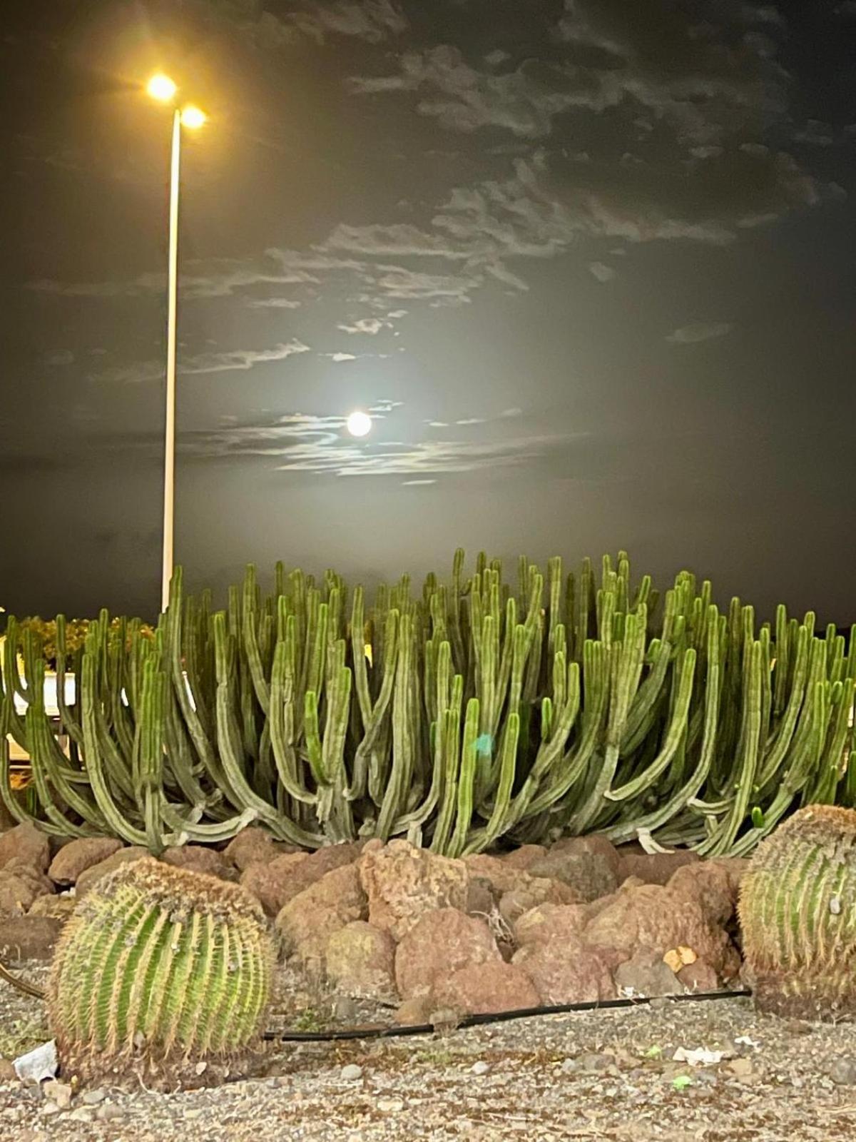 Serenity Garden Maspalomas  Eksteriør billede