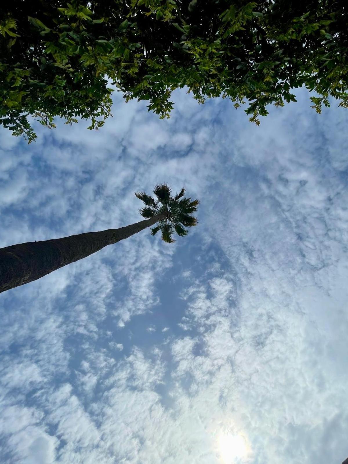 Serenity Garden Maspalomas  Eksteriør billede